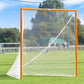 lacrosse goal